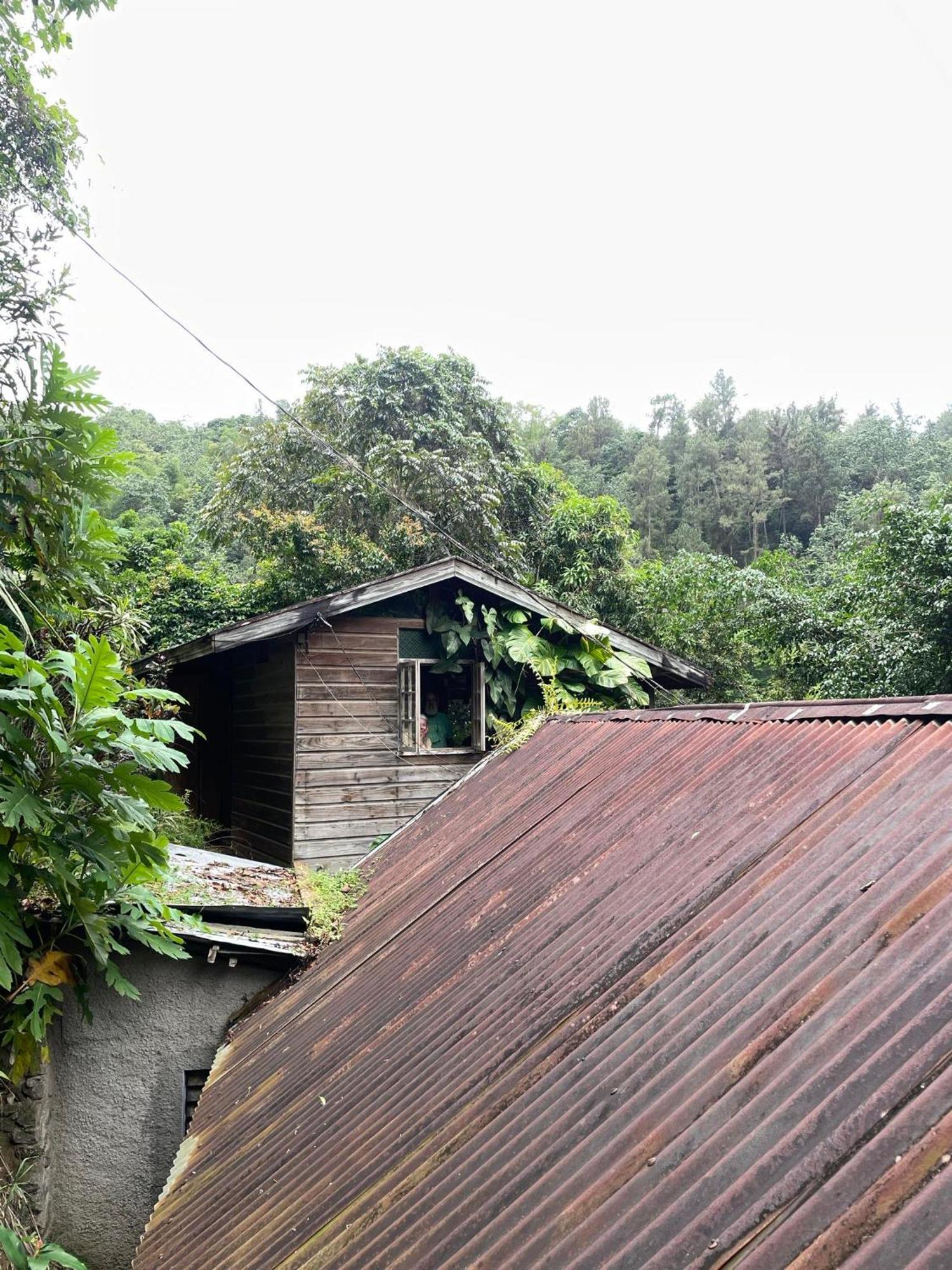 Dustry Cottages 킹스톤 외부 사진